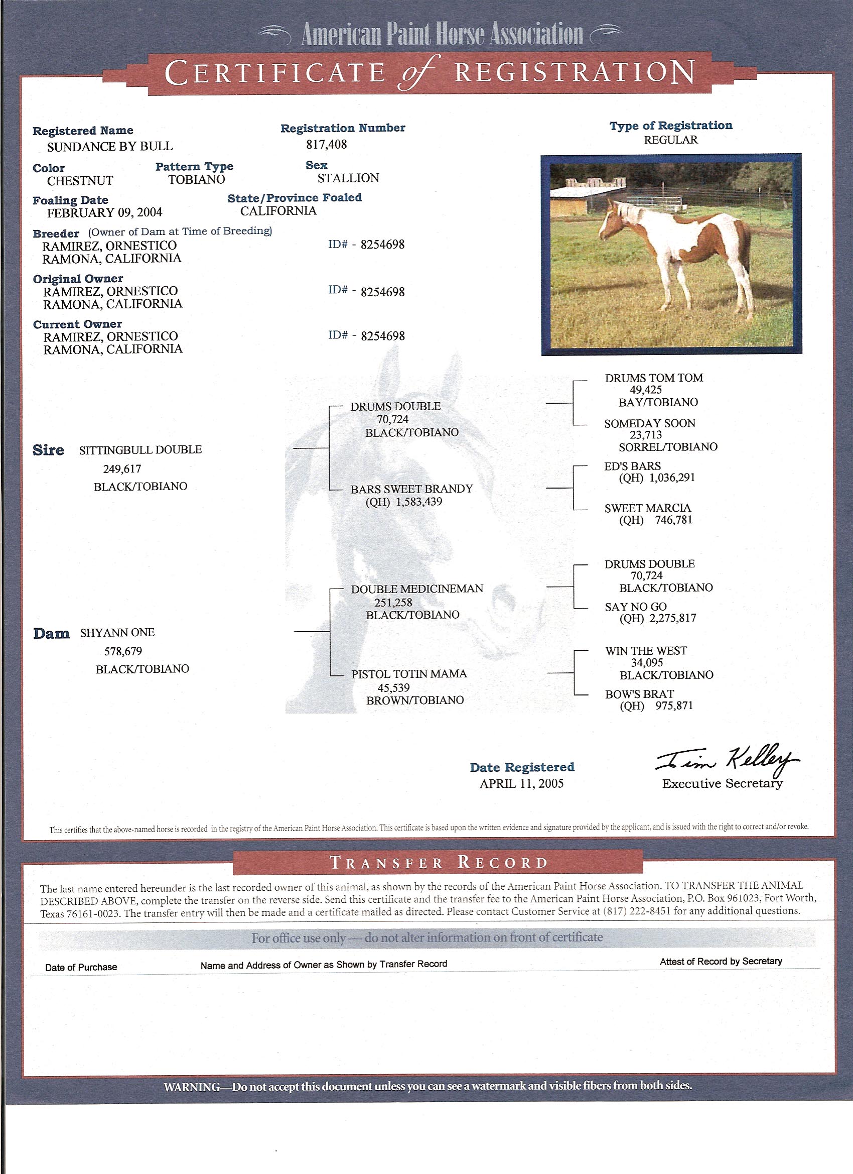 sundance pedigree certificate